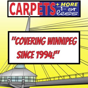 Carpets + More for Less Website, Online and Traditional Marketing, Digital and Physical Promotional Material Design, Full Service Branding and Product Packaging Design